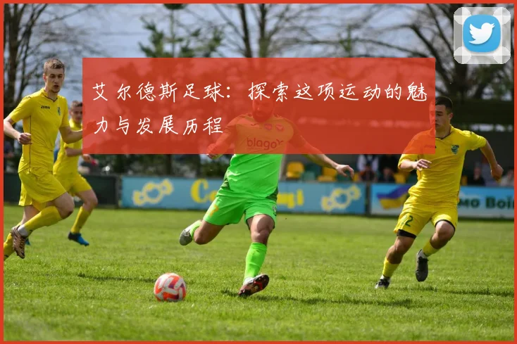 艾尔德斯足球：探索这项运动的魅力与发展历程