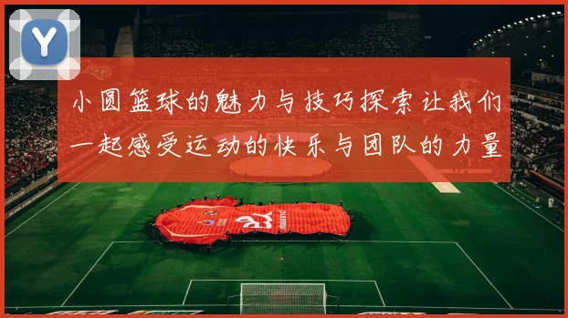 小圆篮球的魅力与技巧探索让我们一起感受运动的快乐与团队的力量