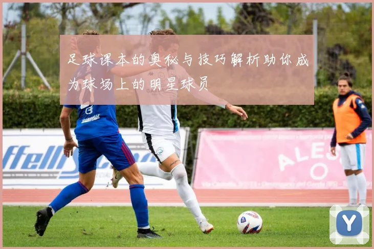 足球课本的奥秘与技巧解析助你成为球场上的明星球员